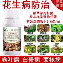 花生病专用药卷叶病黄叶病白绢叶斑青枯病杀菌剂增产叶面肥防病药