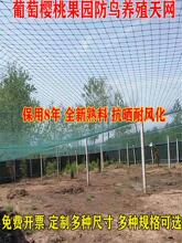 �������������B�W�B�u�����W�Bֳ��W�~�����@���B�W������B�þW