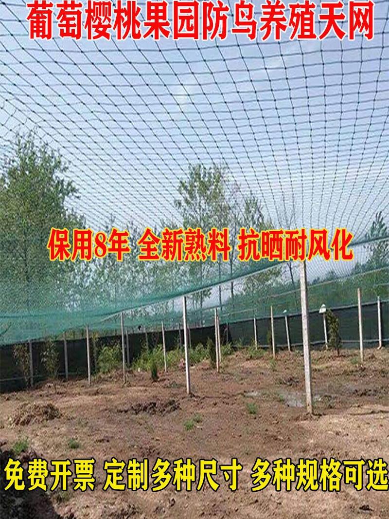 大棚尼龙线防鸟网养鸡尼龙网养殖天网鱼塘果园防鸟网果树防鸟用网