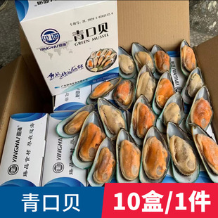 �뚤���ؐ�������������ʳ�������Ƙ�ؐ����̥ؐ���l����