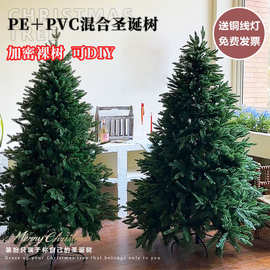 圣诞树家用2025新款摆件圣诞节装饰品网红ins风加密裸树圣诞装饰