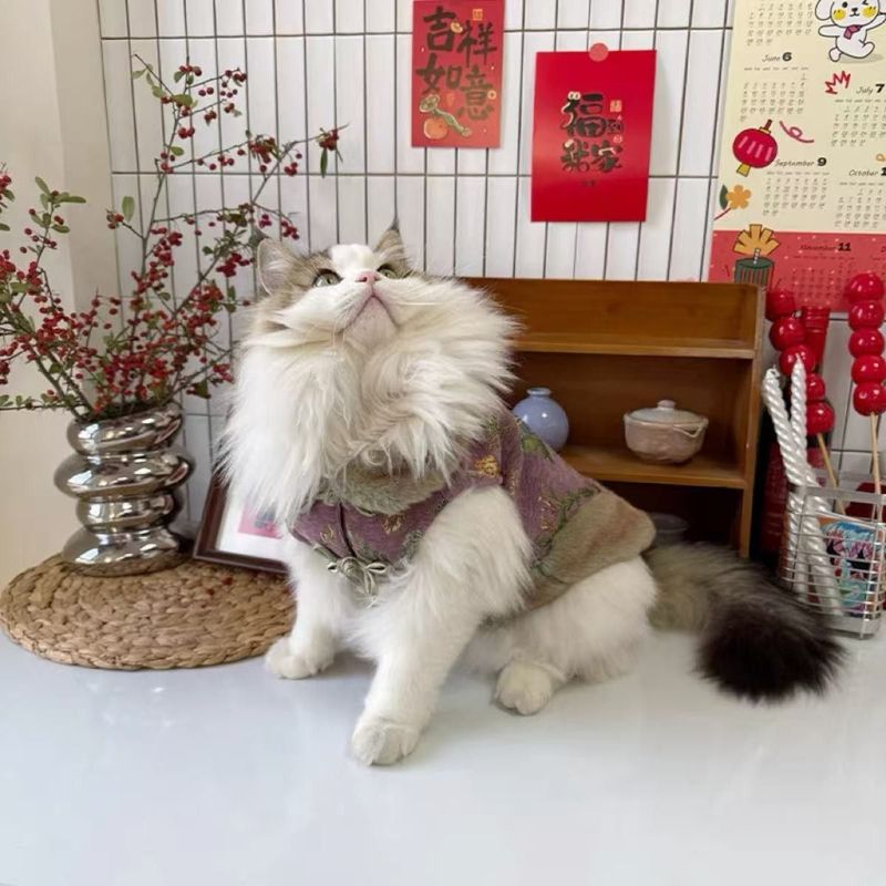 宠物衣服秋冬新款新中式过年裙子狗狗猫咪加厚拜年唐装|undefined
