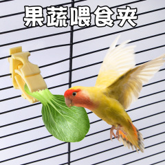 跨境新款鹦鹉鸟类果蔬喂食夹 玄凤牡丹鸟用品鸟笼配件多功能夹