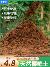 椰砖纯椰糠土营养土免泡发脱盐椰壳植物养花通专用种菜土壤种植土