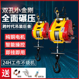 Double-Hole Small Electric Hoist 220V Small Hanging Wire Rope Household Crane Fast Winch Leidezhu