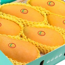 顺丰礼盒正宗20斤精品金煌芒新鲜芒果当季水果整箱包邮热带时令10