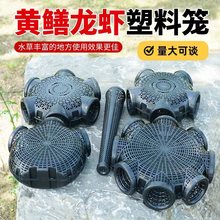 �����S�X�\�Ӻ����z���|3��8���X�~�\�Ӻ�ɫ�A�����q���r�\һ�ֻ\
