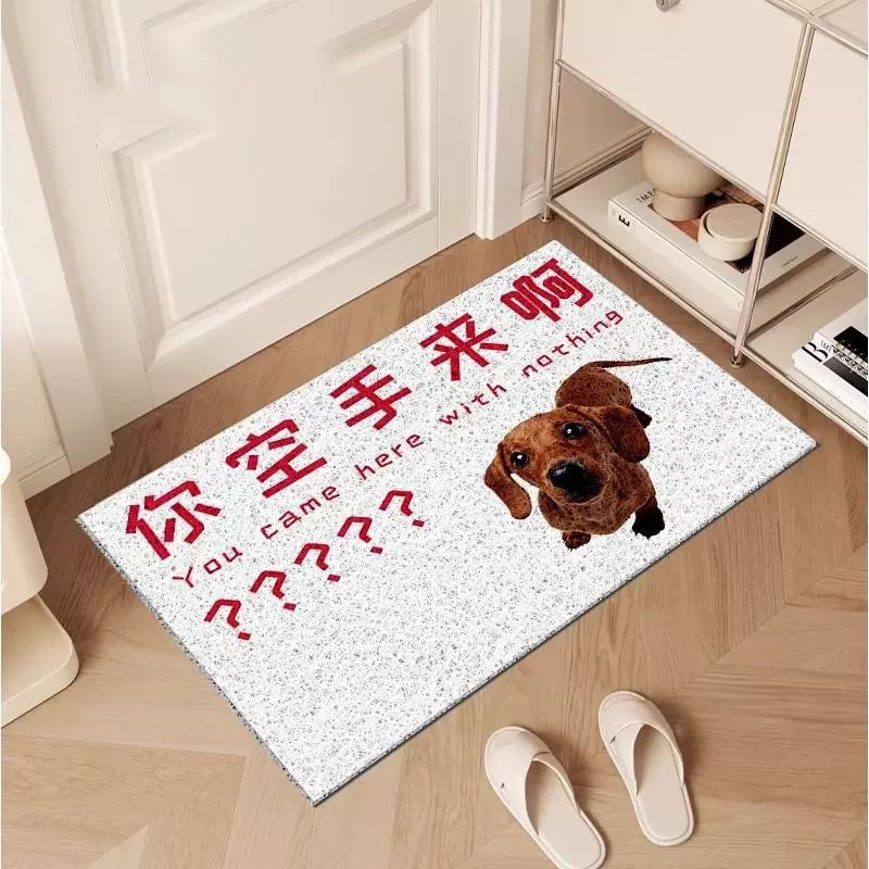 入户门地垫丝圈进门耐磨脚垫子玄关大门口门垫刮土蹭泥搞怪地毯
