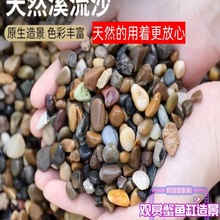 沙子石子鱼缸底沙玻璃沙白石子夜光石相手蟹观赏蟹鱼缸龟缸河沙