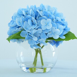 ������滨3D�zƬ���^�����c���Ų��üٻ��ҾӲ����Ƶ�zӰ�ٻ�