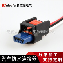 德尔福DJ7039H-1.2-21 汽车倒车雷达电眼线束连接器插头 13893234