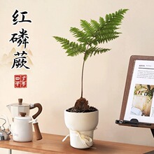 �t��ާ�����҃ȿ͏d�k��������Gֲ�����՚��ļ�������B���辰