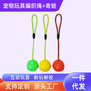 �羳TPR�������ҧ���ď����� �������zĥ�������������