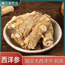 批发西洋参个 软质花旗参粒头 整枝西洋参条长枝参段代磨粉西洋参