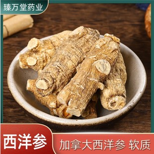 ���l���󅢂� ܛ�|���셢���^ ��֦���󅢗l�L֦���δ�ĥ������