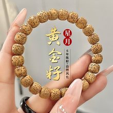 海南黄金籽星月菩提子手串单圈女手链高密顺白正月文玩佛珠绕指柔