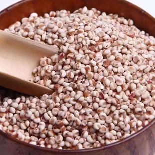 ճ������ Ŵ������ �t������