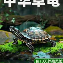 ���A�������wС���������^�p���������B�ͻ��L�������������