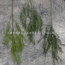 ���T��С�t��������횲ݱR���ݷ���Gֲɭϵ��Y�廨���Ų����쾰