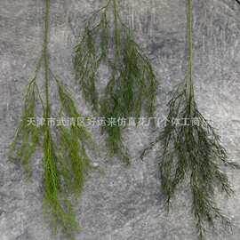 天门冬小红书爆款龙须草卢荀草仿真绿植森系婚礼插花花排布置造景