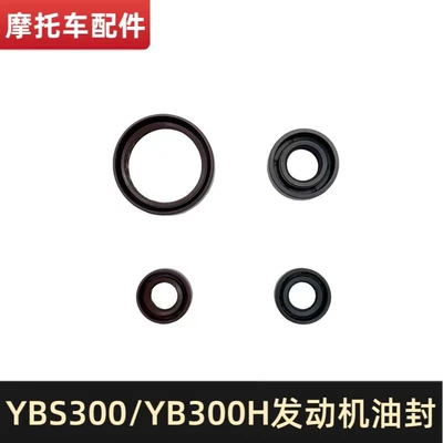 Loncin Ybs300/Yb300H Engine Shift Shaft Oil Seal, Secondary Shaft Oil Seal, Clutch Arm Oil Seal, Crankshaft Oil Seal