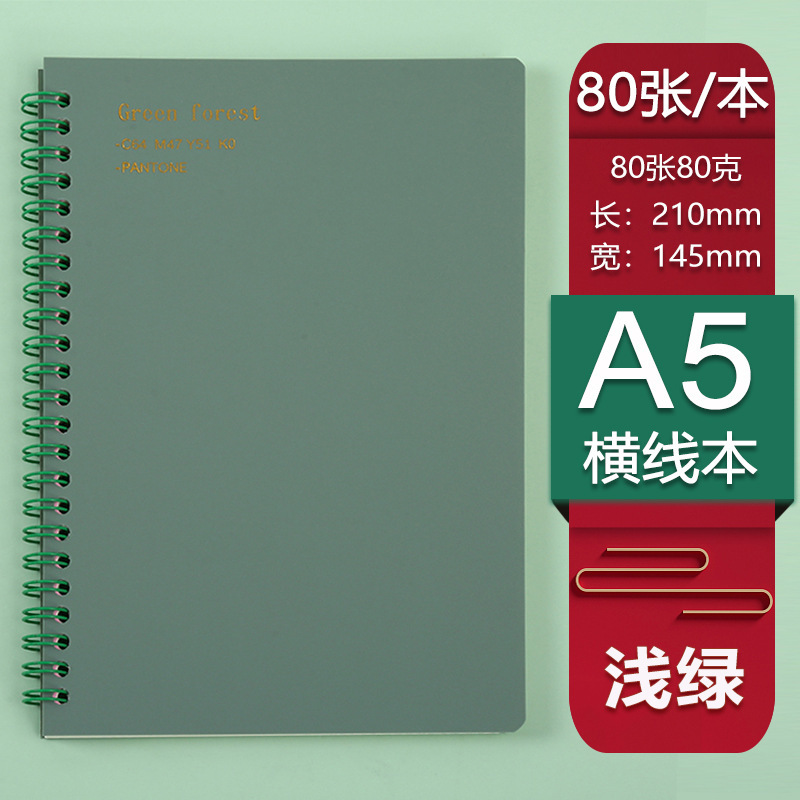 라이트 그린 + 핫 스탬핑