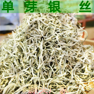 2026���紺�²�G���~��φ�ѿ�y�z��ѿ��������ɢ�b�F؛�S�����l