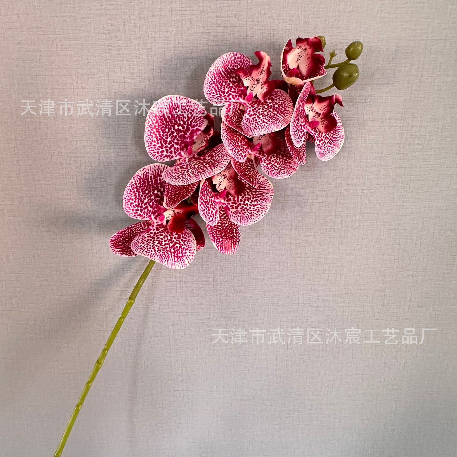 3D 7-cabeza Phalaenopsis mano-sensación de película Phalaenopsis venta al por mayor boda hogar decoración floral tiro flor material