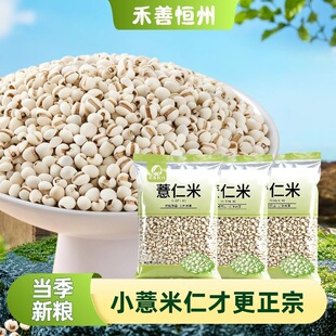 ޲����2���r��޲��������s�Z�ּZ�Z���״��bС޲��