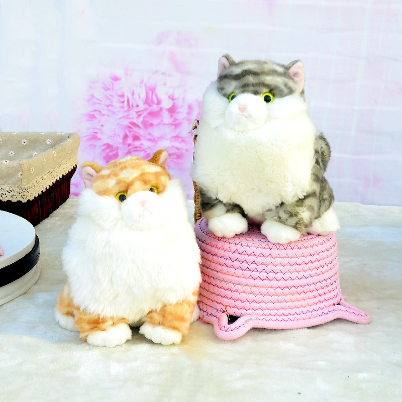 Mulula gato muñeca de peluche de juguete de simulación gato niños Ragdoll muñeca almohada para dormir regalo al por mayor