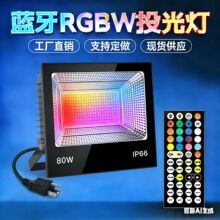 80W����RGBWͶ��� ң�ر�ɫIP66��ˮ ���⾰���������