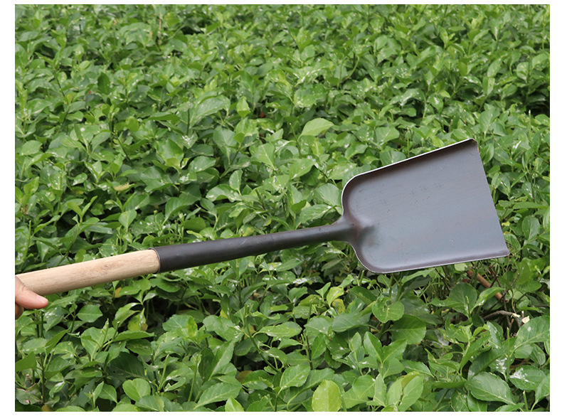 O1CN0183W2WB2KUWzHXIct3_!!2185