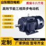 高效三相工业异步电动机