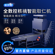 全数控核桃智能取仁机   智能高效  精准取仁