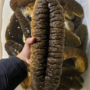 ��������󺣅���������ˮ�l������ʳ2���ʳ�󅢼�ʳ����