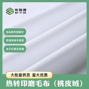 Cross-Border Heat Transfer Brushed Cloth 100% Polyester Bleached Absorbent Clean Tapestry Hanging Cloth Pillow Four-Piece Set Peach Skin Velvet