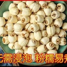 2024年广昌无芯白莲子无硫新鲜手工莲子干货江西特产通心白莲粉糯