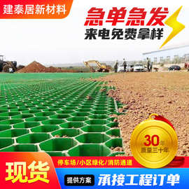 塑料植草石材格河道护坡种草格花口小区停车位加强型平口