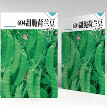 604mNѴ＾¶ͥԺ߲˷NƷN