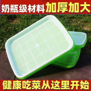 �Ӻ�Ӵ�����P��ѿ���ˮ��W���㶹�綹ѿ�Nֲ�P�o���҃ȼ��ÏS