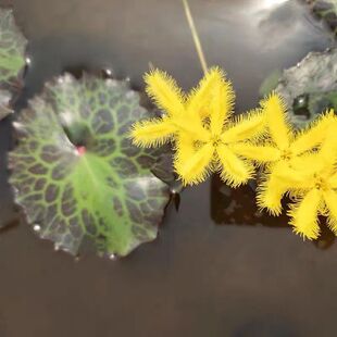 ����һ�~ɏ�_�S��ˮ�໨�܃���ˮ�|�~���^�p˯ɏ����С��ɏˮ��