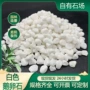 机制铺路白色水磨石鹅卵石