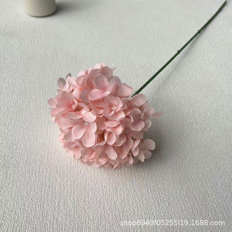 분홍색