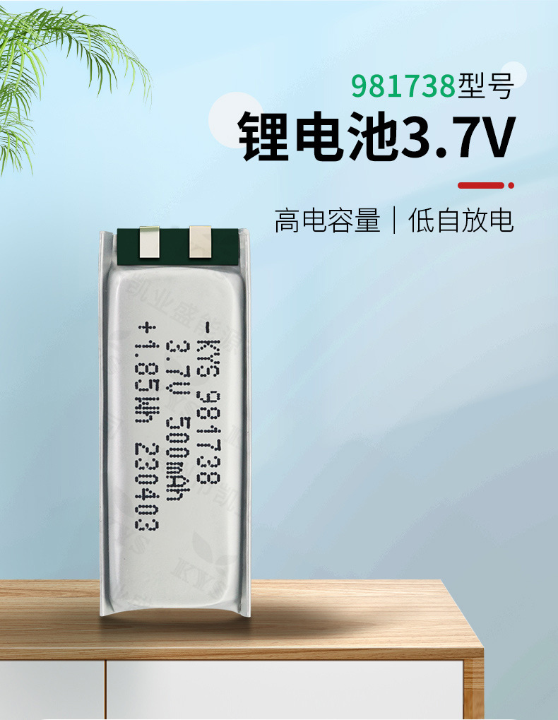 981738详情_01.jpg