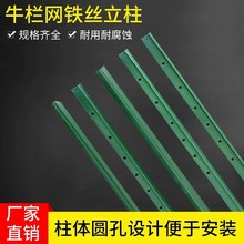 ţ�ھW�����Ӻ�Y�͌��������F�z���ھW���U ���@���ڷ��o�̶�����