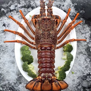 ������ݴ����r�t���rС������˹�D���r�\������10���������l