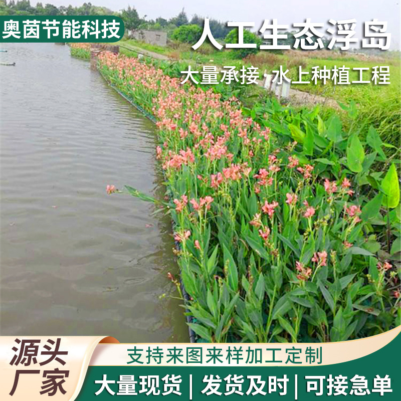 水上种植浮床公园造景河道治理水稻种植浮床方形生态浮床大量现货
