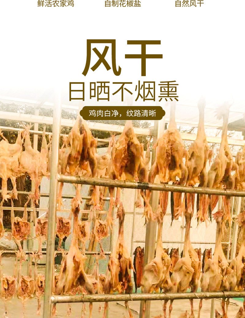 风干土鸡-04.png