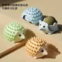 宠物刺猬猫薄荷
