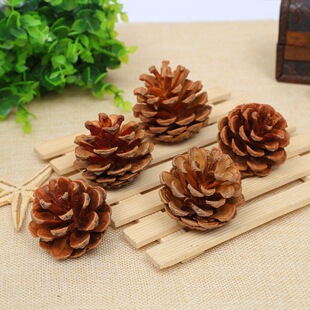 �ɹ��b�ɏ��ɻ��ɹ��׃��@�ɘ�֦ɭϵ�ֹ�diy���ϰ�����